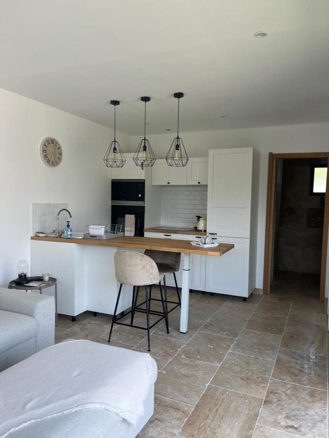 Magnifique Studio Avec Piscine Arles Eksteriør billede